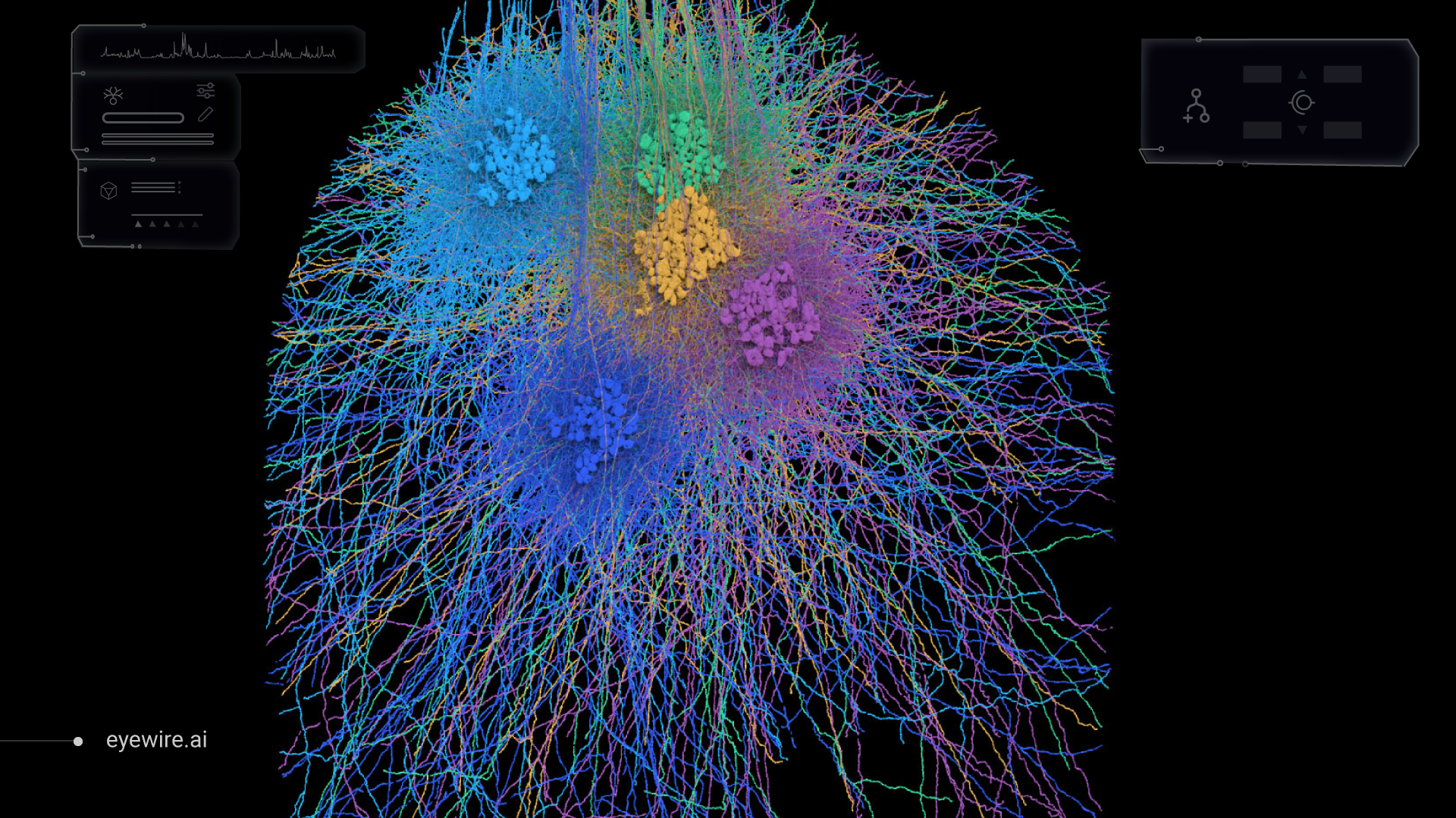 Eyewire calcium imaging poster