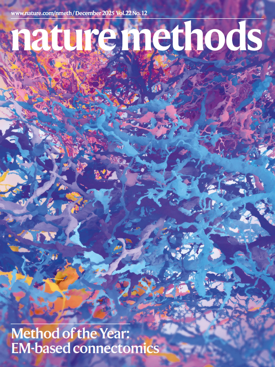 Connectomics visualization