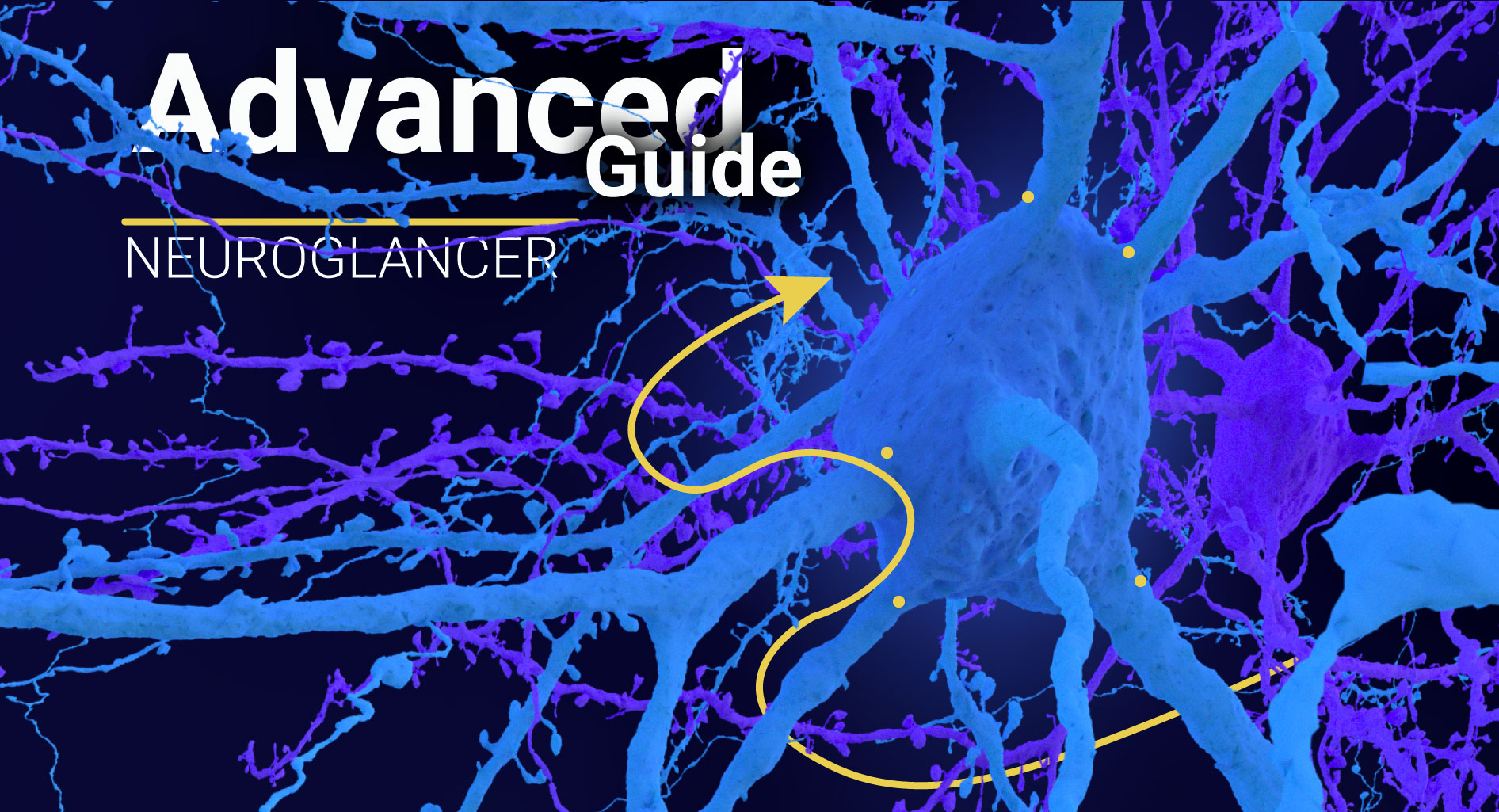 Neuroglancer guide thumbnail advanced