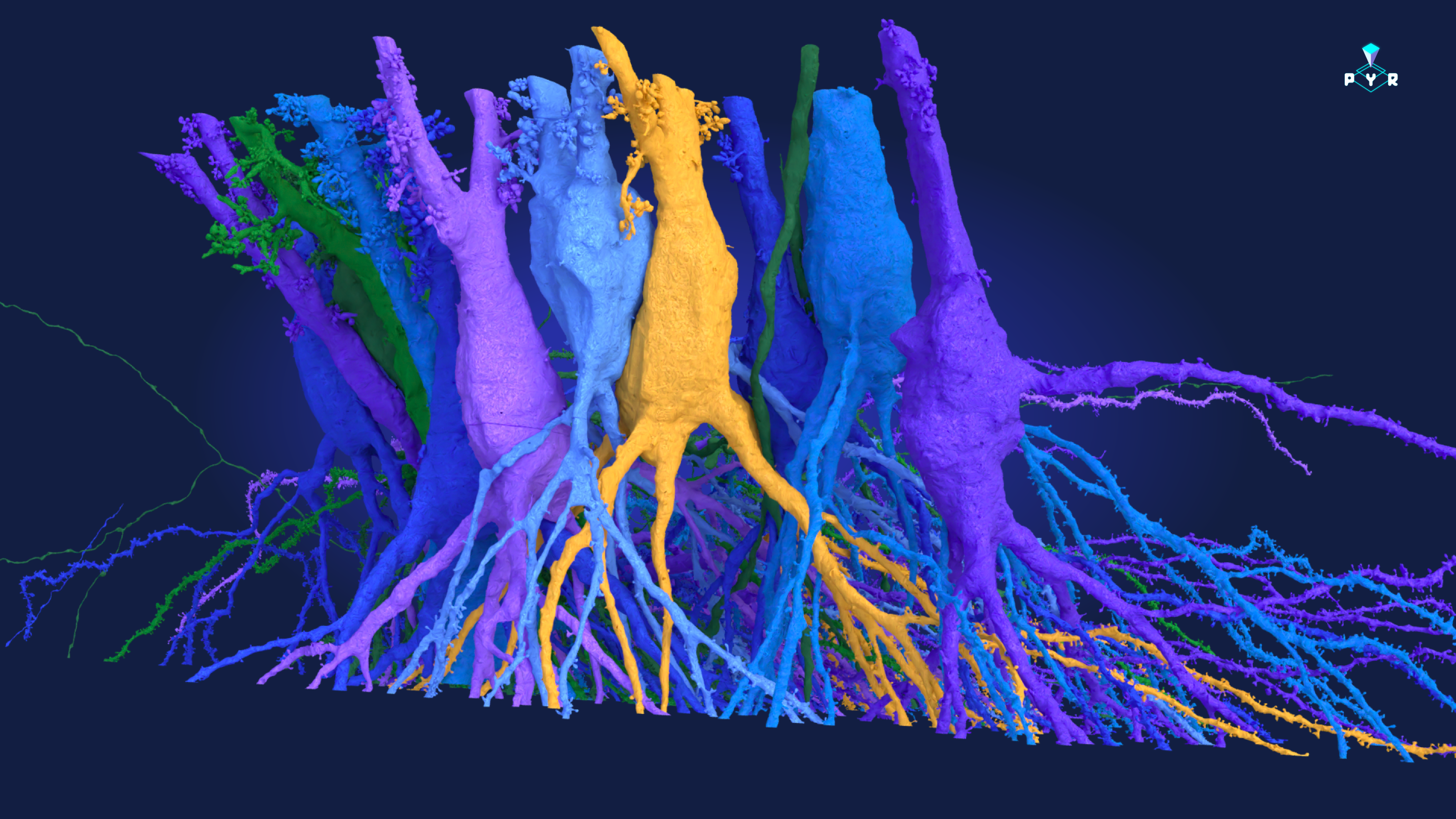 Pyramidal posters somas