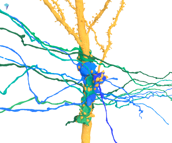 Pyramidal website render