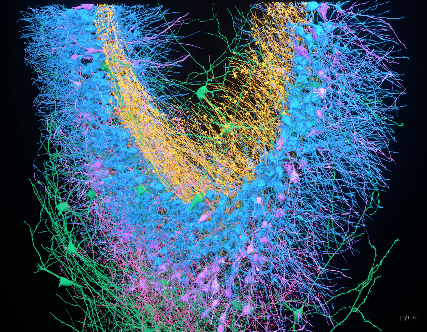CA3 population rendered in full, coloured by cell class