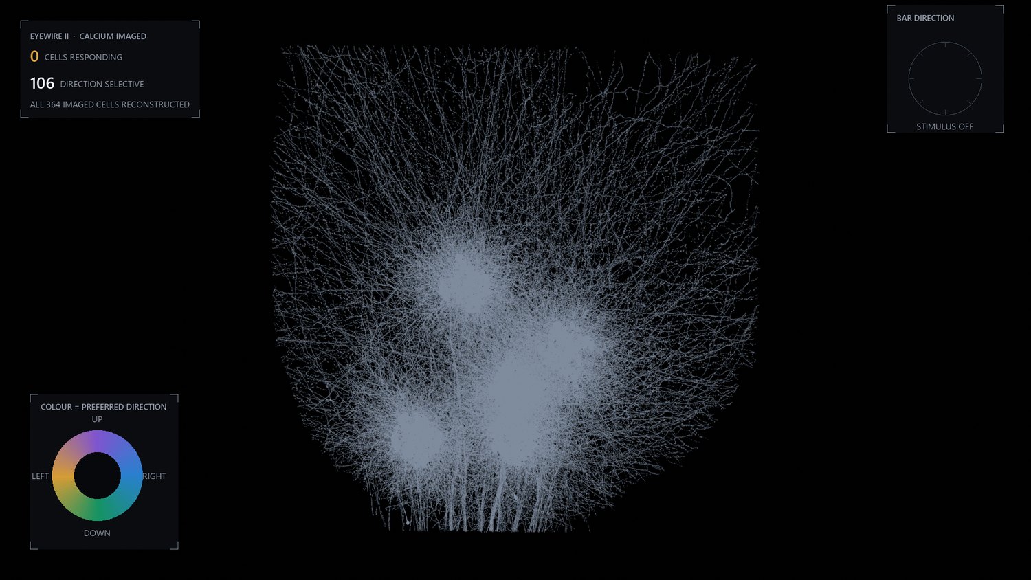 All 364 reconstructed retinal cells in plain grey, no colour applied