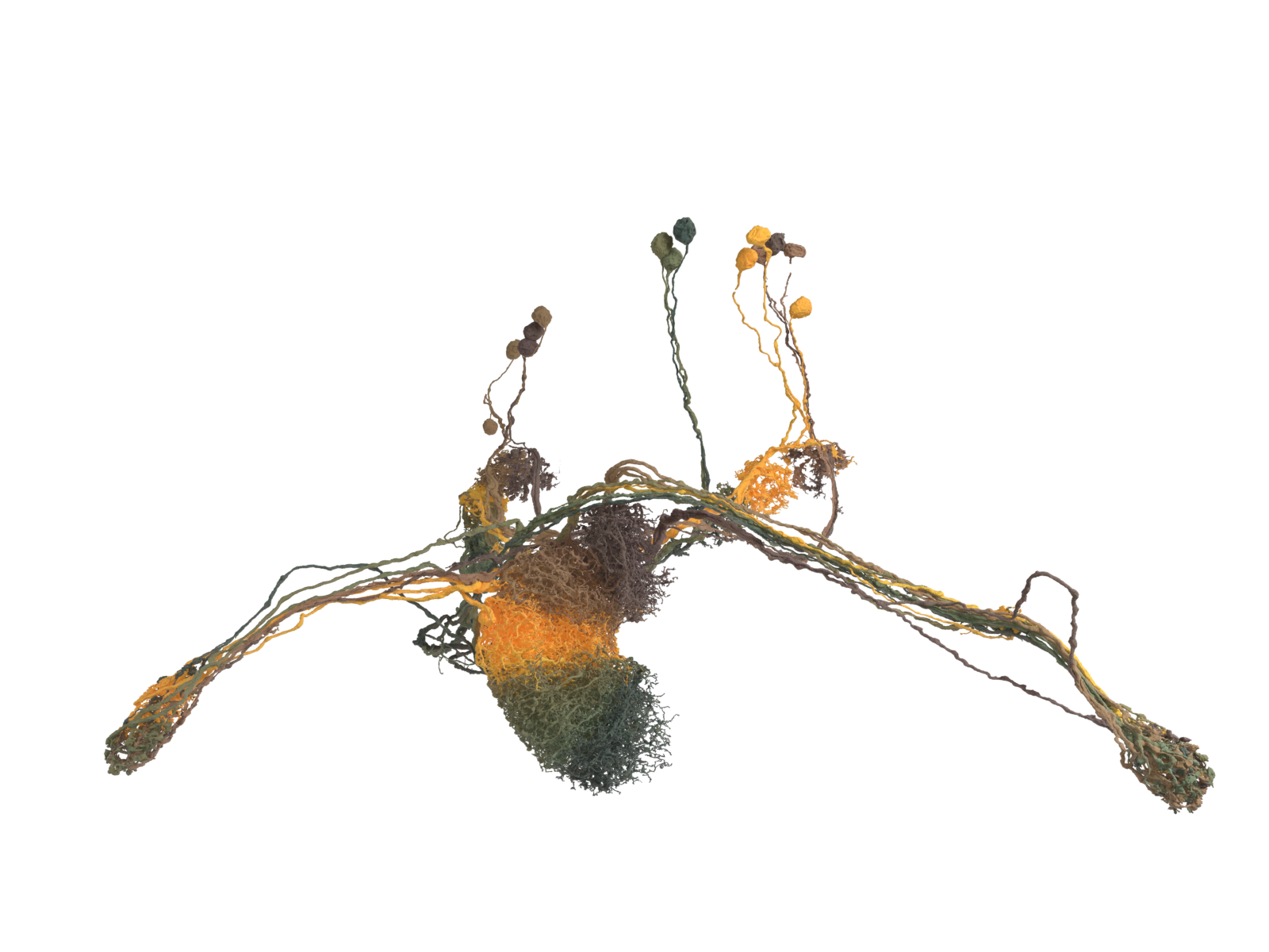 The active EPG sector of the ellipsoid body